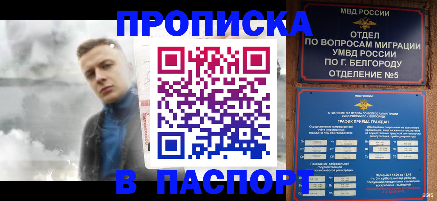 временная регистрация в Фрязино